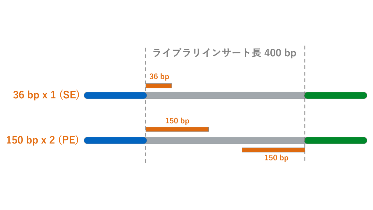 リード長とは