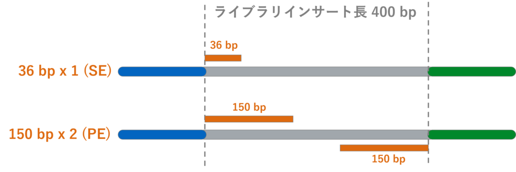 miseq リード 長