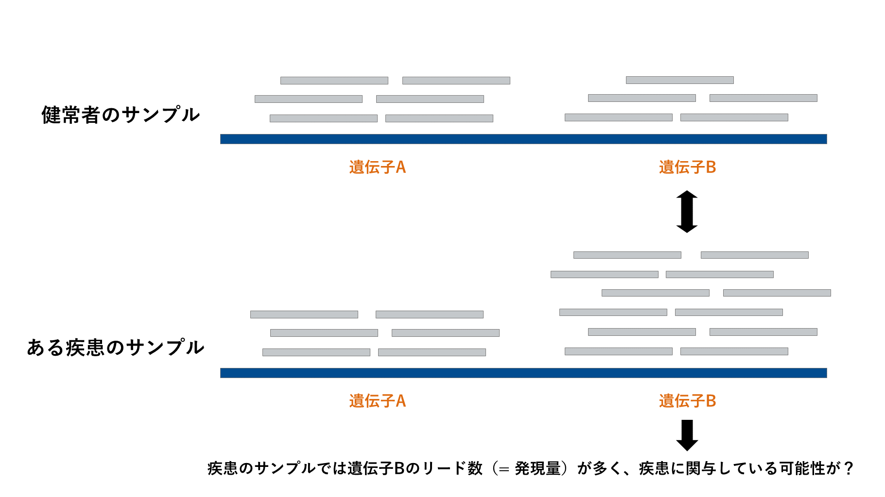 rna seq 必要 リード 数